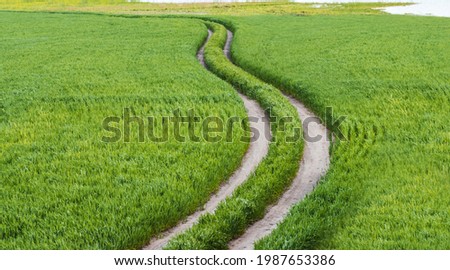 beautiful road winds through a green field, beginning of the way