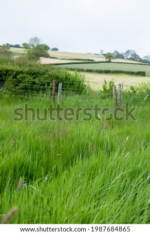 Dorset countryside pictured in June in Charmouth, England.