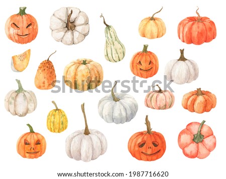 Watercolor autumn bright pumpkins  isolated on white background. Cozy fall collection. Perfect for cards, logo, paper, wrapping and other design.