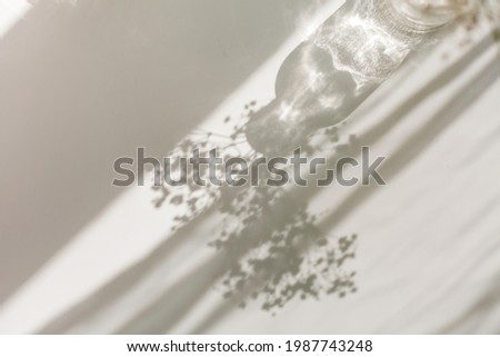 Shadows on a white background from a glass and flowers. Dried flowers in a glass vase in the rays of light. Home.