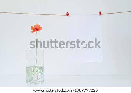 Blank paper sheet mockup. Glass vase with beautiful wild poppy flower on white table. Lively and cheerful summer still life scene. Happy day and good luck concept