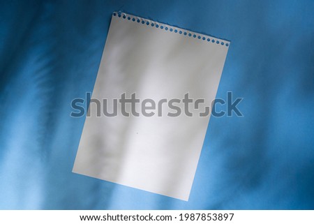 white sheet on blue background with shadow of leaves.