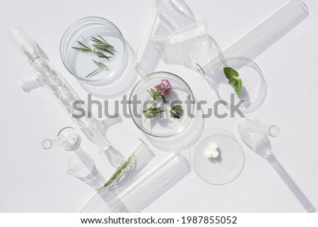 Natural medicine, cosmetic research, bio science, organic skin care products. Petri dish on white background. Top view, flat lay. Concept skincare. Dermatology. Royalty-Free Stock Photo #1987855052