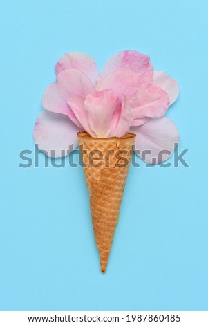 Pink Rose petals in an Ice Cream Cone on a blue background. Flat lay minimalist styling. 