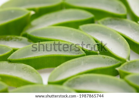Natural green aloe vera stem cut into slices. Health and well being background