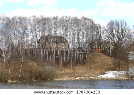 A house on a steep lake is barely visible behind the white trunks of a birch grove, April, 2021