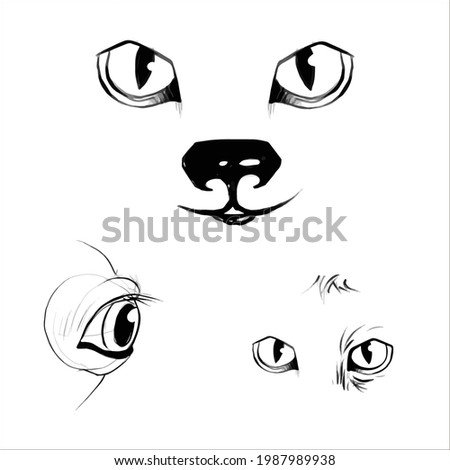 Animal eyes in graphic style. Animal's muzzle.
