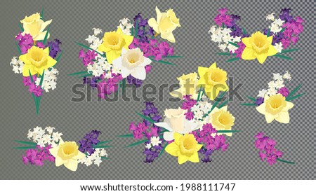 A set of vector bouquets and compositions of spring flowers. White, purple and pink hyacinths and yellow daffodils. The concept of design of postcards and invitations. Wedding clip art.
