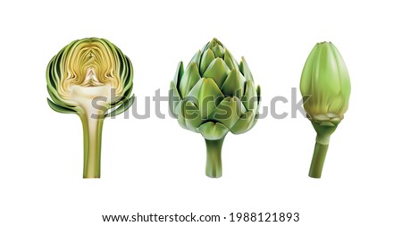 artichoke realistic 3d vector illustration set. Shiny, glossy artichokes side wiew isolated on whive background. Cutted half of artichoke heart, centeer of vegetable. menue, eco, bio, diet freshness Royalty-Free Stock Photo #1988121893