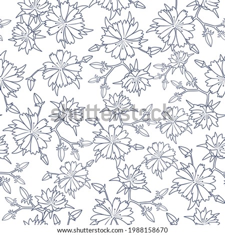 Seamless pattern with chicory flowers. Healing herbs for design Natural cosmetics, aromatherapy, medicine, health products and homeopathy.