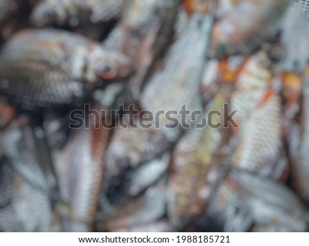 defocused abstract background of fish