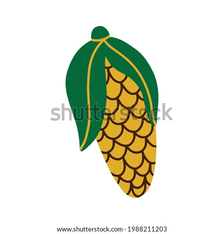 Corn. Ripe vegetable corn.Simple vector illustration