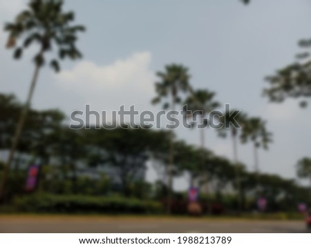 defocus blur palm trees background