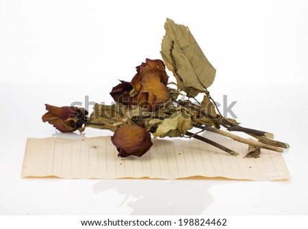 Old  paper with roses flower isolated on white background