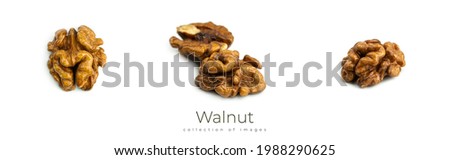 Walnut on a white background. Walnuts isolated. High quality photo