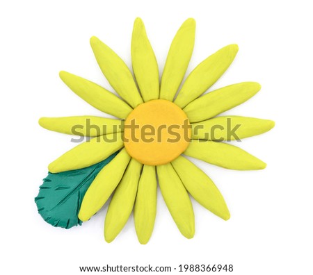 Plasticine yellow flower with leaves isolated on a white background.