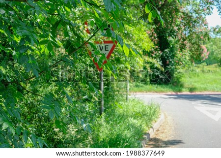 Uk road sign obscured by trees