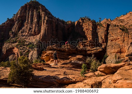 Hikers in Zions National Park along the Canyon View Trail.  The trails in the park provide a unique outdoor experience.  The red rock pinnacles, many over 7000 ft (23,600 meters.) dwarf the adventurer Royalty-Free Stock Photo #1988400692