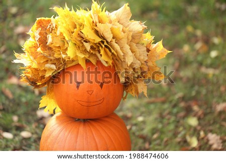 Autumn holidays. Pumpkin harvest. Snowman of pumpkins in a wreath of maple leaves in the sun in the garden.Thanksgiving Day. Autumn mood. Autumn time. Pumpkin harvest time