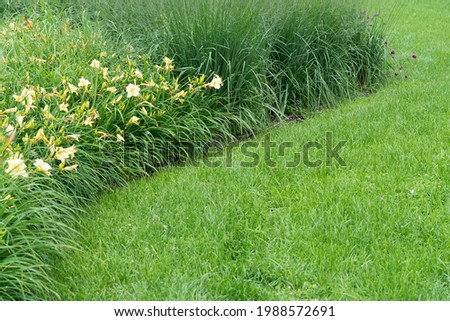 View of a lawn and a flowerbed with lilies and ornamental grass