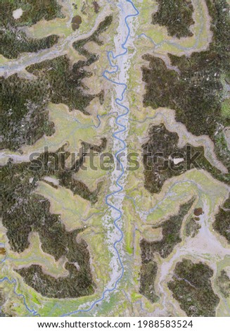 Aerial view of river meander in the lush green vegetation of the delta.
Beautiful landscape - wild river in USA.
National nature reserve in summer.