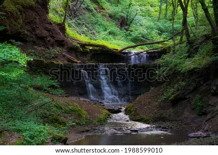 
Waterfall in the forest. View of beautiful forest waterfall. Beautiful cascade of waterfalls.