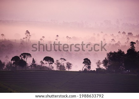 Beautiful view of Cukul tea plantation located in Pangalengan, West Java, Indonesia. Royalty-Free Stock Photo #1988633792