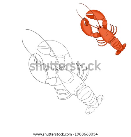 digital drawing of a sea animal - lobster coloring, sketch raster