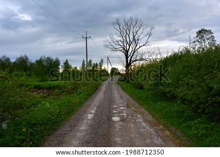 A country road in the evening in puddles after rain climbs a hillock past a withered tree under a cloudy sky brightening on the horizon from the setting sun.