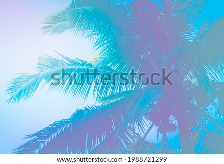 colorful coconut  abstract spring summer background 