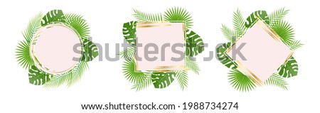 Summer set of social media post template with palm leaf elements. Grunge texture. Element for design, postcard. Vector illustration.