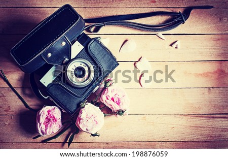 Vintage camera and roses 