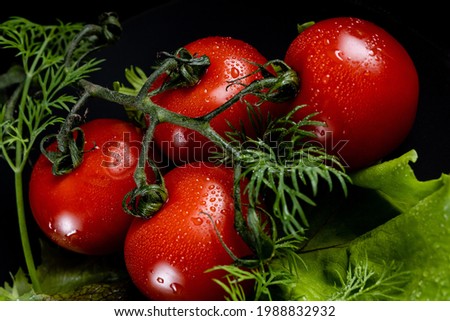 Four very fresh, red, sweet and juicy cherry tomatoes with greens, lettuce and dill. Just out of the garden, covered with water drops. Gourmet photography. Appetite stimulating.