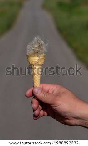 Unusual ice ice cream.Summer time.By the road.