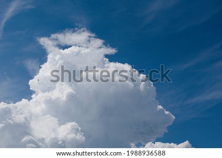 Large white cloud against blue sky. Small birds on white cloud background