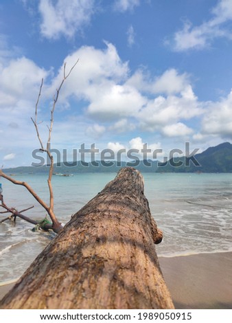 beautiful beach picture with log foreground