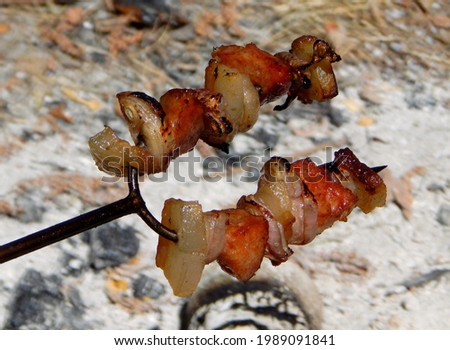 Toasting a skewer on a fork over a fire