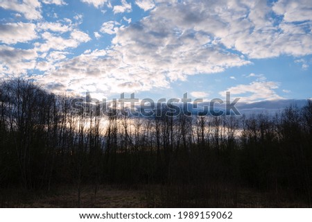 Evening spring blue sky with white clouds. Dark silhouettes of trees and shrubs. Evening landscape at sunset