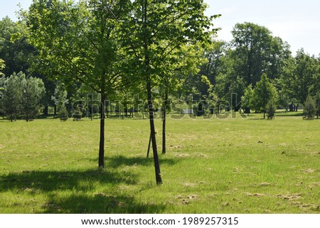 park, garden landscaping, place of human relaxation