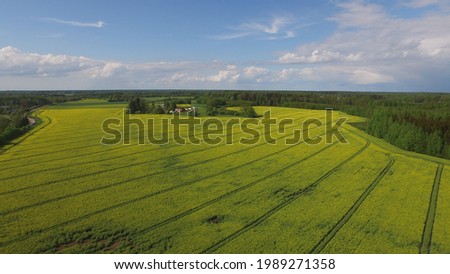 Aerial shot rapeseed fields yellow and green in latvia Sigulda Country summer