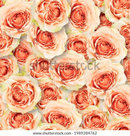 Seamless floral pattern. Chaotic arrangement of buds. Orange-cream rose flower. Romantic style. Royalty-Free Stock Photo #1989284762
