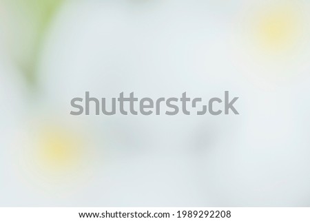 White abstract background of azalea petals with a selected focus on the petals to blurred focus as the background.