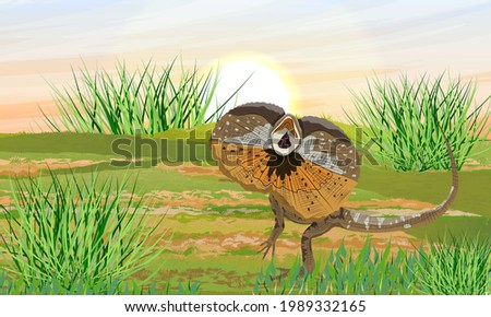 The Frilled Lizards in a green meadow. Chlamydosaurus kingii or frill-necked lizard, frilled dragon or frilled agama. Wild reptiles of Australia and New Guinea. Realistic vector