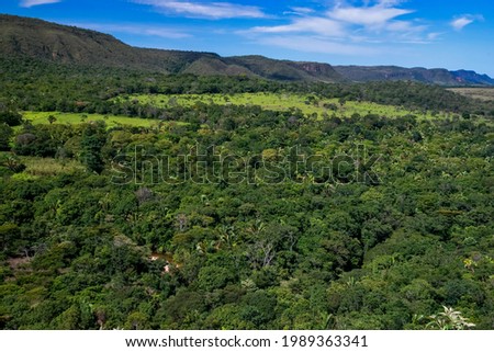 Landscape photographed in Chapada dos Veadeiros National Park, Goias. Cerrado Biome. Picture made in 2015. Royalty-Free Stock Photo #1989363341
