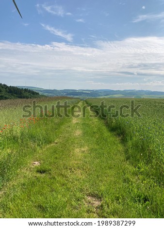 Countryside panorama view in  germany with beautiful landscape.