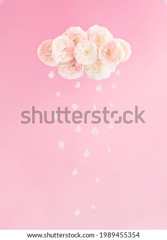 Pastel pink clouds and rain made of roses and petals. Women's day concept or flowers day. Creative minimal girls composition.