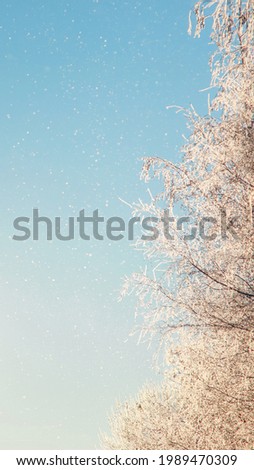 Idyllic winter background with trees covered in snow and snowfall from blue sky. Vertical image for smartphone wallpapers, cards, book covers, posters.