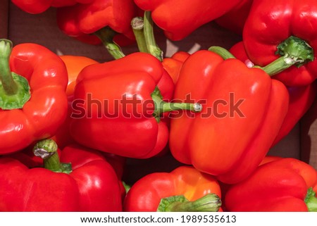 Big red bell peppers close-up top view. Collection and sale of ripe vegetables. Healthy dietary products concept