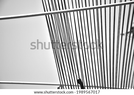Black and white minimal lines abstract background