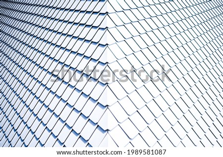 Symetrical Abstract White Building Exterior Structure look Like Fish Scale